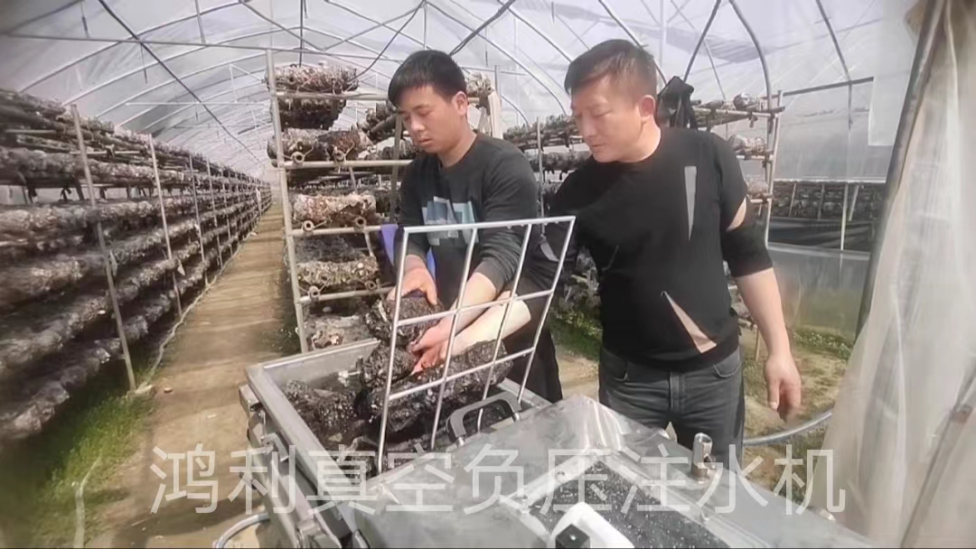 鸿利真空负压注水机在湖北广水市卓杰种植专业合作社得到菇民认可