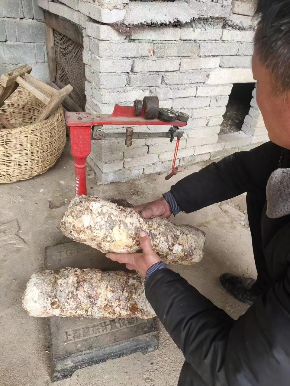 新型菌棒补水方式如何让菇农接受
