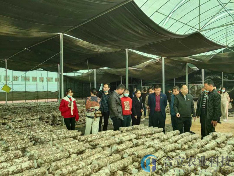 江西德安县：林泉乡全力发展食用菌产业