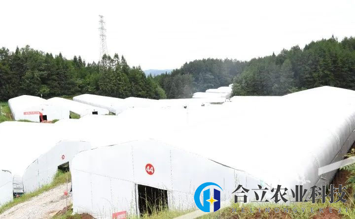 重庆石柱县：这个食用菌基地建成投产