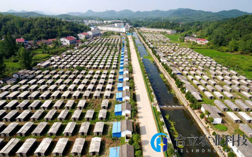 湖北随县：筹备成立香菇产业联合党委
