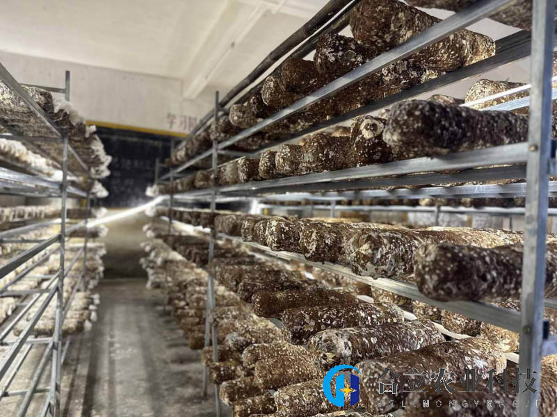 广东乳源：洛阳镇盘活撂荒地，拓宽增收渠道