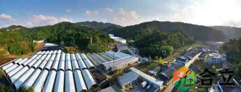 四川广元市：利州区加快食用菌园区建设